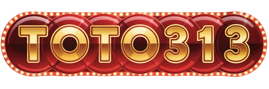 log-TOTO313